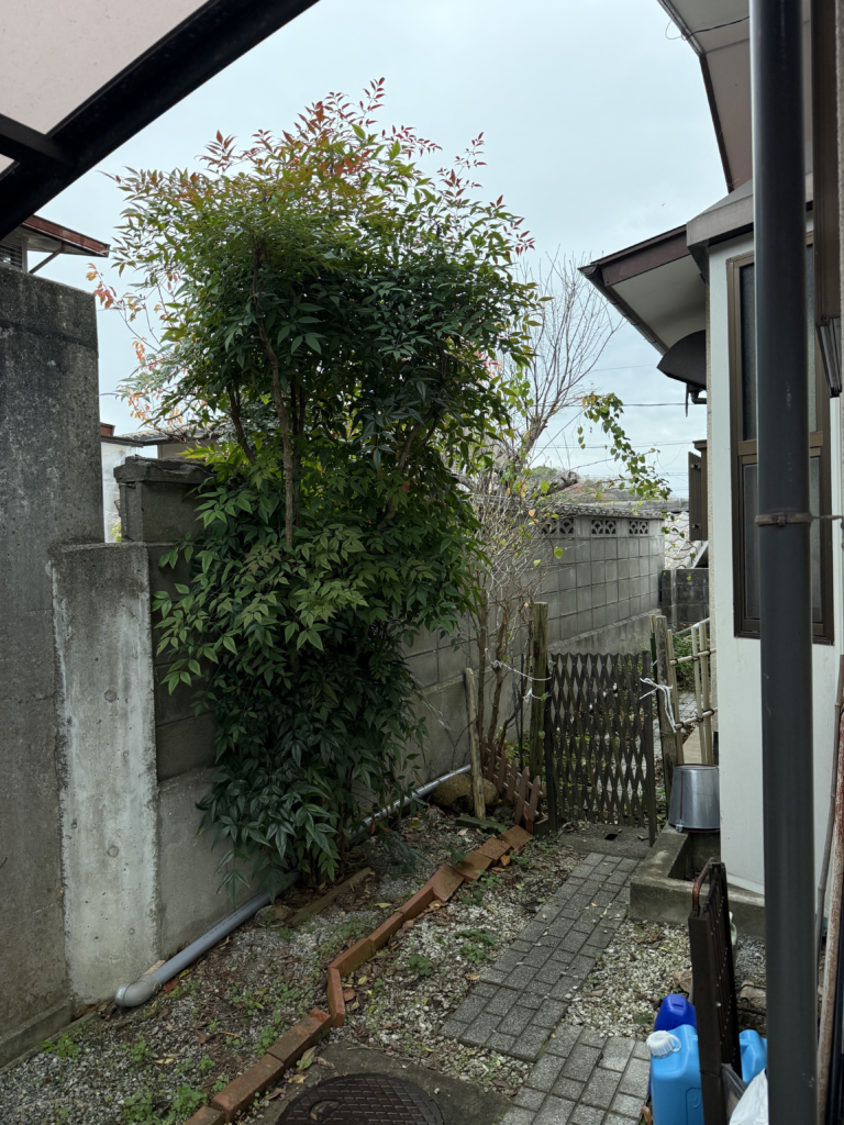 浅口市鴨方町 庭木の伐採・草刈り 便利屋あんばい