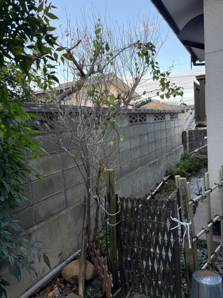浅口市鴨方町 庭木の伐採・草刈り 便利屋あんばい