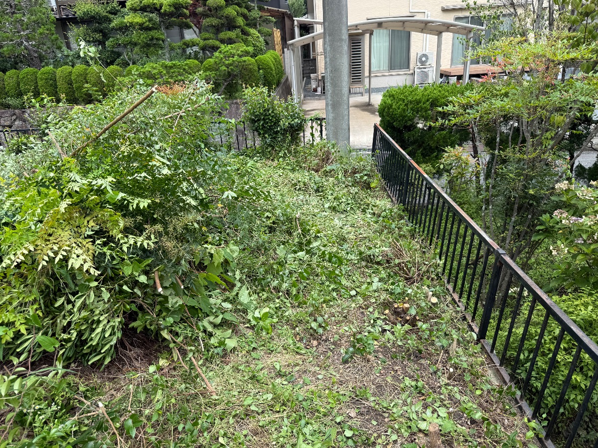 浅口市鴨方町 草刈りと庭木の伐採 作業後の庭木まわり 便利屋あんばい