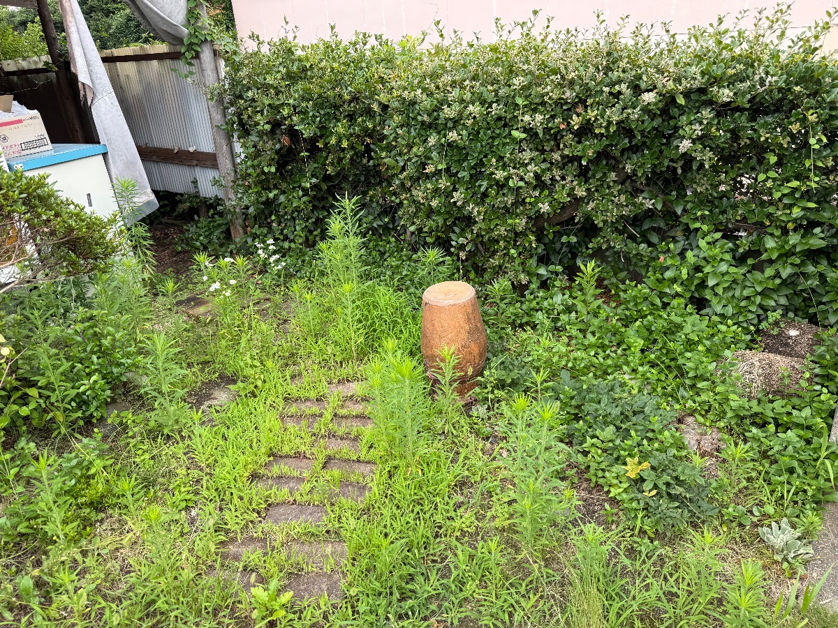 浅口市鴨方町 草刈りと庭木の伐採 作業前のお庭 便利屋あんばい