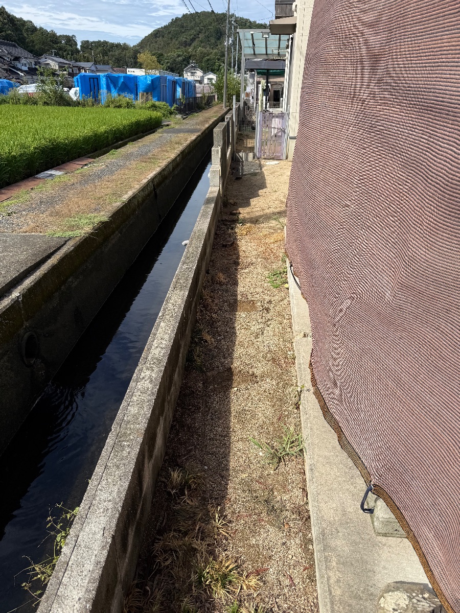 井原市 防草シート施工前 水路沿いの通路に生えた雑草