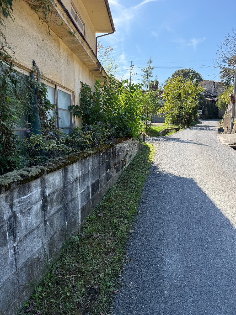 笠岡市 草刈りと雑木の伐採 作業前の道路沿いの塀と建物側面 便利屋あんばい