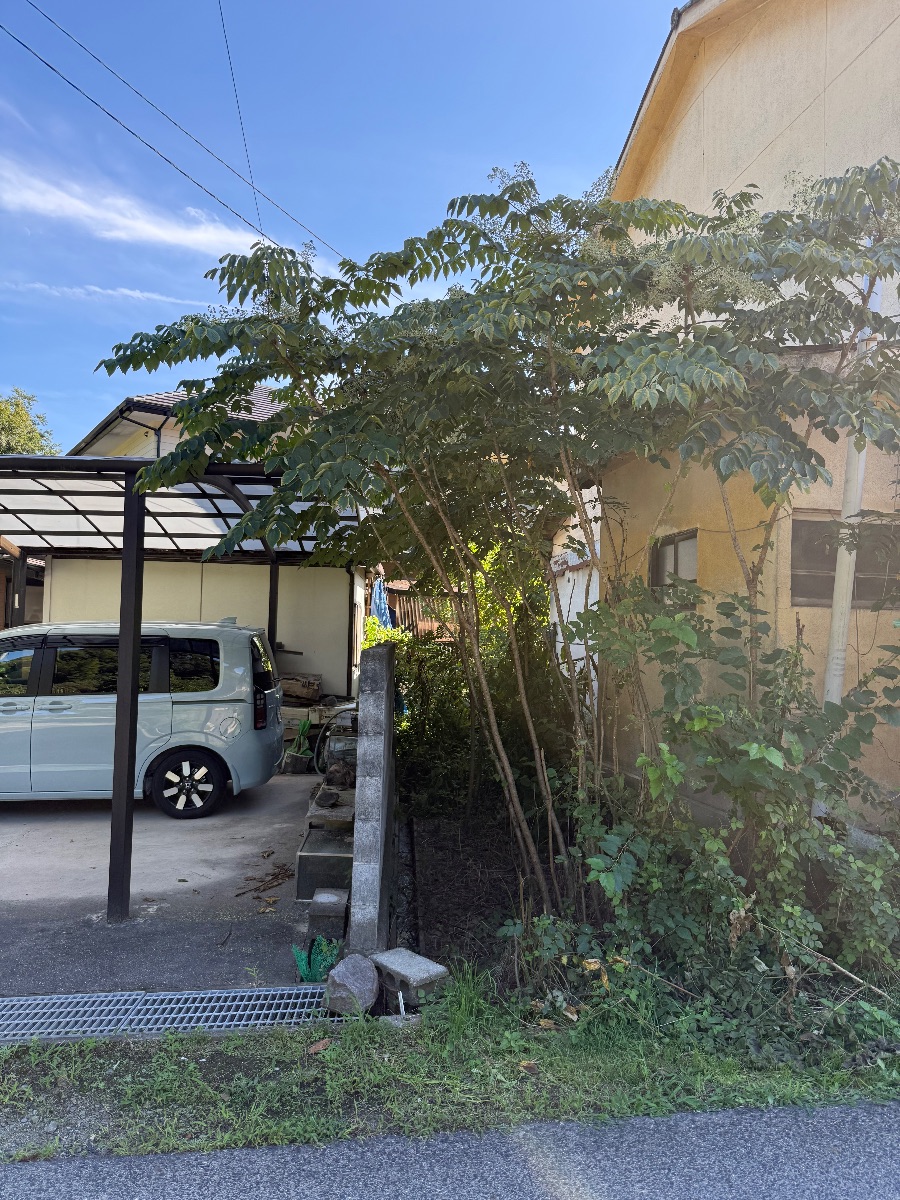 笠岡市 草刈りと雑木の伐採 作業前の建物脇に育った雑木 便利屋あんばい