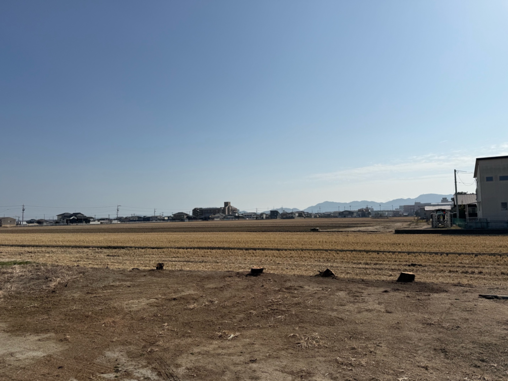 岡山市中区 庭木の伐採・剪定 便利屋あんばい